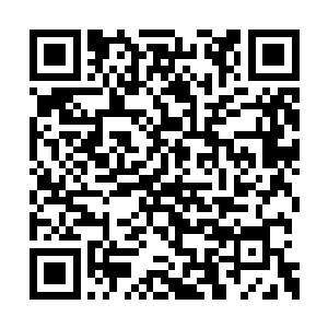而且那白熙颜还布设了一个仙符将我等拦截在外二维码生成