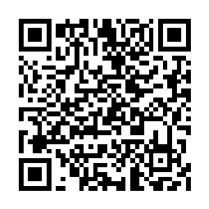 而且随着身后的那刀痕之路中的元磁极暴的波动二维码生成