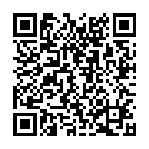 而且随身还带着枪――能从东洋收藏家中盗出宝石二维码生成