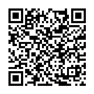 而且雷族人那么傲气怎么可能会做出这样的事情来二维码生成