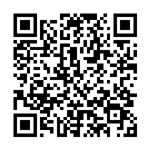 而且高扬他们现在已经把没有和海盗串通的船员救了出来二维码生成