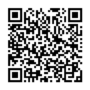 而且魔族那边在源源不断地向着星海这边运送魔族修士二维码生成