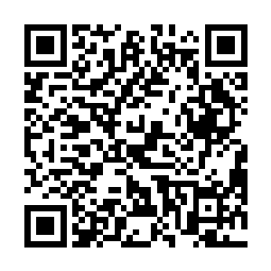而东方瑾也再一次听闻了东方固和东方鱼更详细的阴谋二维码生成