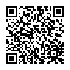 而两侧还有许多记者都紧贴着玻璃对车厢内部不断按下快门二维码生成