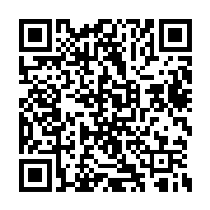而丹泽尔的吼叫声在光柱的轰击之中越发的嘹亮二维码生成