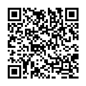 而主物质位面不仅是联通众多半位面与次元的核心二维码生成