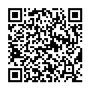 而之前两位同样九重仙的高人步玉心和骆永丹也在下面混战二维码生成