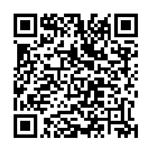 而之前和赵长枪迎面走来的七八个混混看到这里打的热闹二维码生成