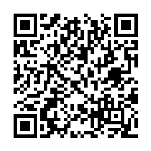 而之前早就向迈阿密游去的那些大型海洋迁徙军团二维码生成