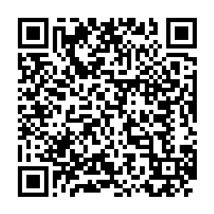 而之前的那位带两人进去的执事长老已经回到了自己的工作位置上二维码生成