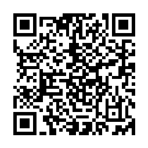 而之前被红袍童子推过来的成阳公主正安静的昏睡在自己怀里二维码生成