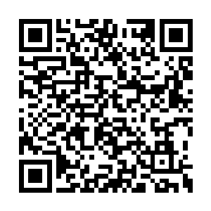 而之后跟随离光圣者来到这龙脉圣泉所在的途中二维码生成