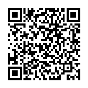 而人形法相在所有的法相之中却是攻击超强的法相二维码生成