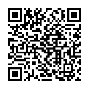 而今天……有幸紫萱学姐再次回到了我们清北大学二维码生成