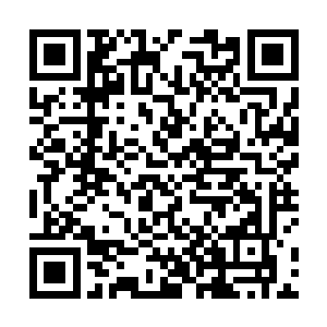 而他们两个就这么傻乎乎的跳进了妖孽的陷阱里面……二维码生成