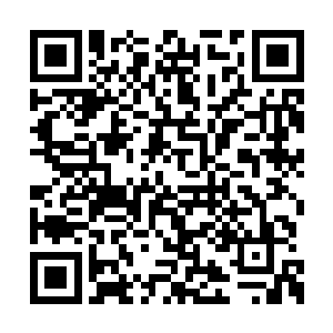 而他们从来没有见过护卫队对谁如此毕恭毕敬过二维码生成