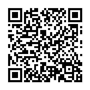 而他们所释放出来的水元素也都被土墙给包围起来了二维码生成