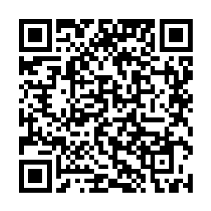 而他们本人则是每个人都捂着自己刚才还持刀的手腕二维码生成