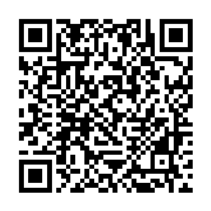 而他们的主人也正是夏天的两个小弟加上一个小小第二维码生成