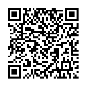 而他们选的这个地方的地面是多年没人管理的烂尾楼二维码生成