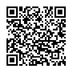 而他则是跑到远处那边开启了地面上的水纹图腾二维码生成