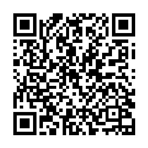 而他惧的则是一旦他的夫人知道了他在外面偷养妾室二维码生成