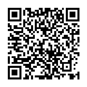 而他本人是个空有知识却没有多少战斗力的辅助职业土著男二维码生成