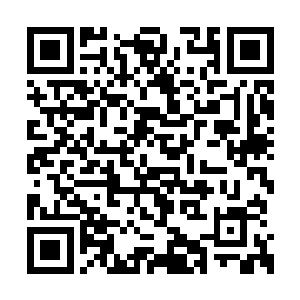 而他正与一众驯兽阁弟子住在同一个大型院落内二维码生成