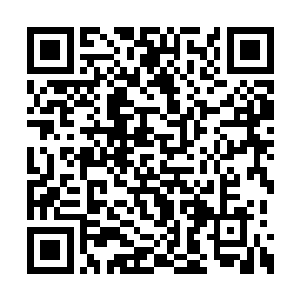 而他的双手正一左一右地拖着周伟和张易的尸体二维码生成