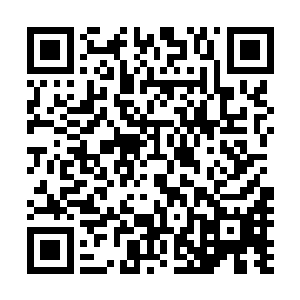 而他的爷爷却注定要成为故事的反派……想想也真是俗套呢二维码生成