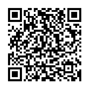而他的血液在鬼谷二仙这么多年持续不断的进补之下药性骇人二维码生成