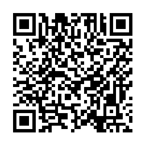 而他的身躯也好像被扒皮削肉一般开始逐步崩溃缩小二维码生成