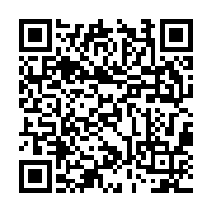 而他身边的剩下几人也是顾不得娜丽丝等人的交战二维码生成