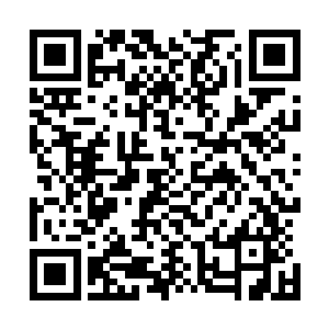 而众位修真者也像是普通弄的市井小民一样来到卖菜的地方二维码生成