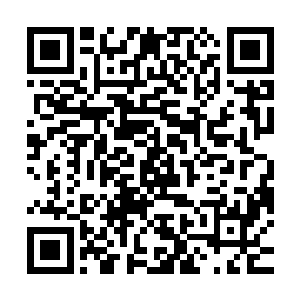 而何书蔓不知是因为这些天的休养起了效果还是因为江迟聿醒了二维码生成