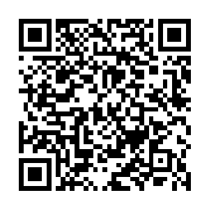 而作为私生子出生的苏门大巫势必也难逃这种舆论非议二维码生成