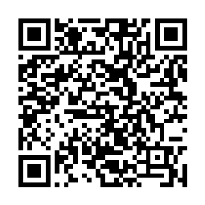 而你五师兄就是为了证明他父亲的理论是没有错的二维码生成