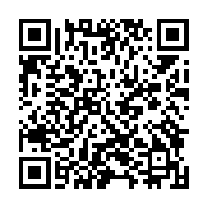 而你的神魂没理由能在星海中漂流亿万年还不衰竭消散的二维码生成