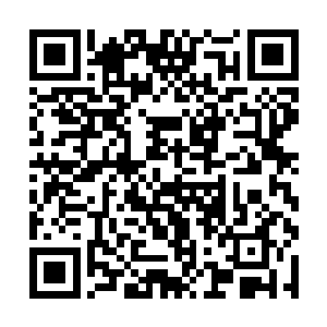 而使用它需要的代价只不过是最便宜的数据流量而已二维码生成