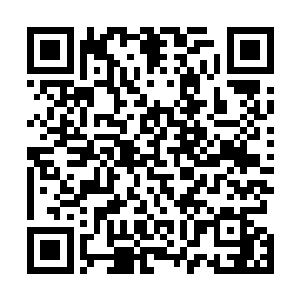 而像之前给马文介绍此地规矩的瘸子还有负责审核的老人二维码生成