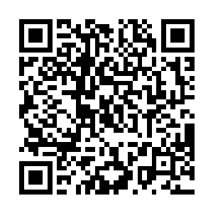 而先前他所站立的地方此刻却是突兀的出现了一座宝塔二维码生成