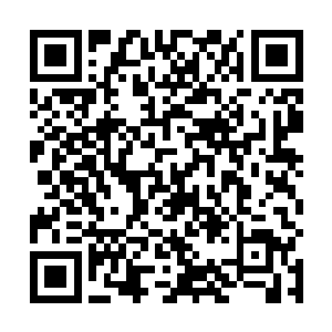 而其中一部分则是因为朱文山的底牌已经被他消耗没了二维码生成