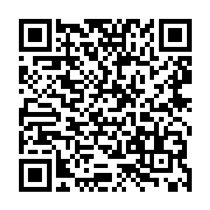 而其他八位圣主怎么可能是九大宗主那些天尊后期的对手二维码生成