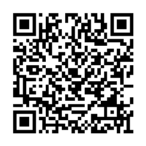 而其他的人听了龙傲天的话之后顿时又惊骇万分二维码生成