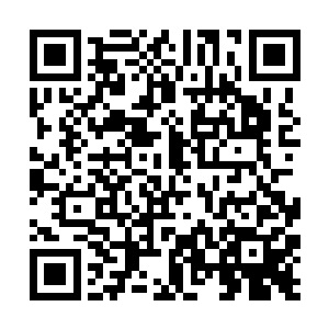 而其他的墙面则是非常有历史感的油画和宫廷味墙纸二维码生成