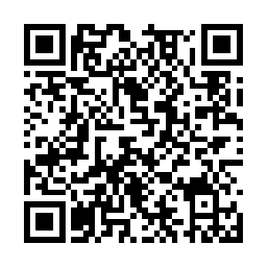 而其他长老此刻听到胖子的话心里却是开始骂娘了二维码生成