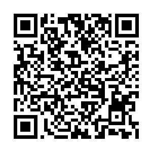 而其他长老目光也是同时望向了前方的遗迹世界二维码生成