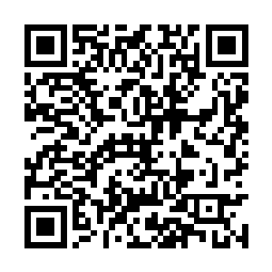 而凡是被他吞噬的都可以转化为能量被巫小果所用二维码生成