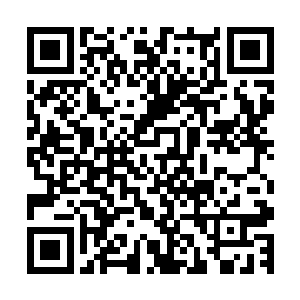 而凤君泽的野心也十分的大早就对周边几个小国动了吞并之心二维码生成
