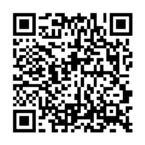 而凭着绿竹那般小心还真撞了好几次树的倒霉情况看来二维码生成